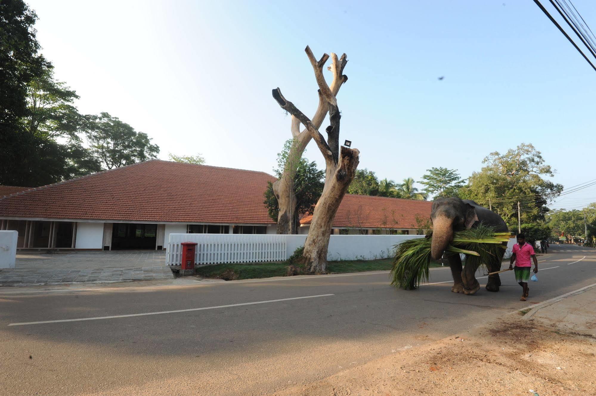Ekho Sigiriya Hotel Exterior foto